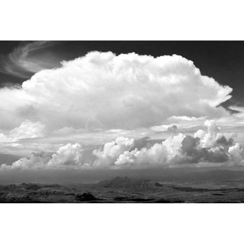 Sunday Morning Storm BW Gold Ornate Wood Framed Art Print with Double Matting by Taylor, Douglas