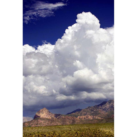 Gathering Summer Storm White Modern Wood Framed Art Print by Taylor, Douglas