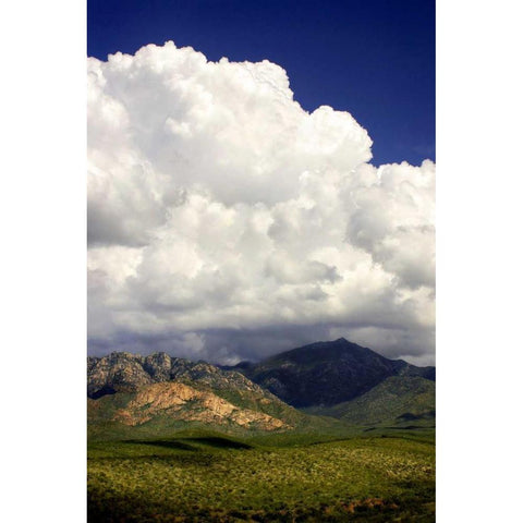 The Coming Storm Black Modern Wood Framed Art Print with Double Matting by Taylor, Douglas