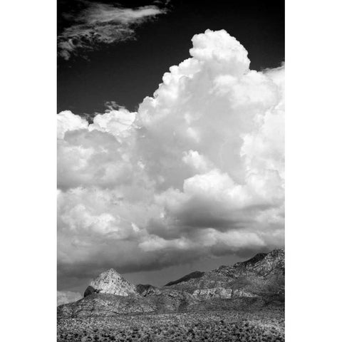 Gathering Summer Storm BW Black Modern Wood Framed Art Print with Double Matting by Taylor, Douglas