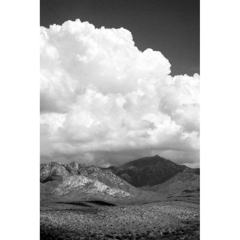 The Coming Storm BW White Modern Wood Framed Art Print by Taylor, Douglas