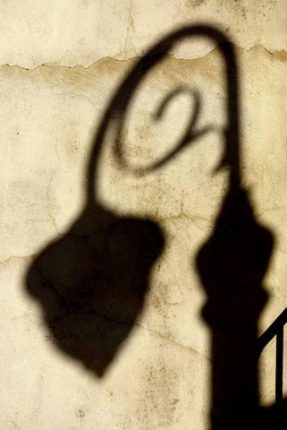 Shadow of Light Black Ornate Wood Framed Art Print with Double Matting by Taylor, Douglas