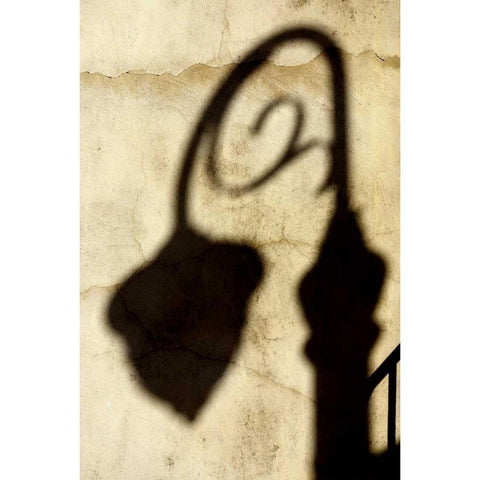 Shadow of Light White Modern Wood Framed Art Print by Taylor, Douglas