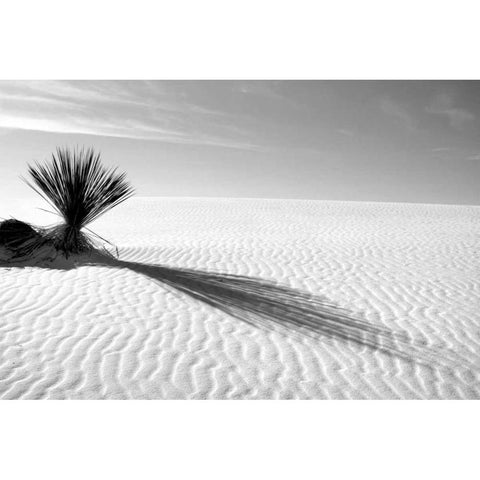 Shadows in the Sand I White Modern Wood Framed Art Print by Taylor, Douglas