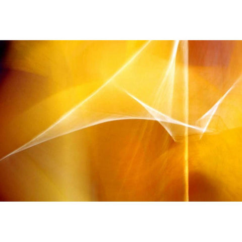 Amber Abstract I Black Modern Wood Framed Art Print by Taylor, Douglas