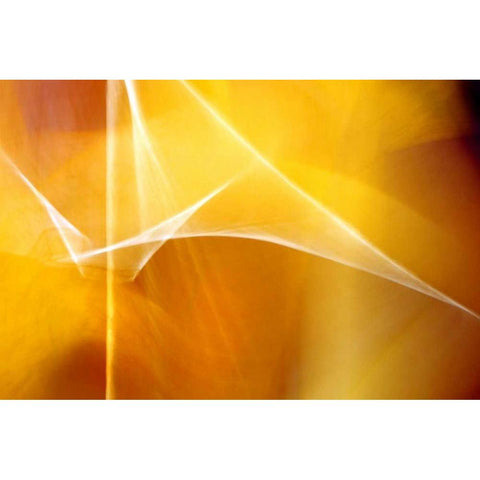 Amber Abstract II White Modern Wood Framed Art Print by Taylor, Douglas
