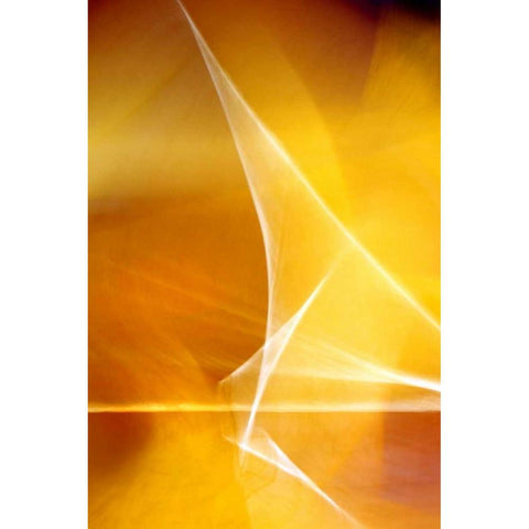 Amber Refraction I Black Modern Wood Framed Art Print by Taylor, Douglas
