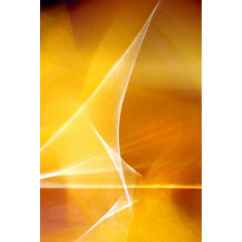 Amber Refraction II Black Modern Wood Framed Art Print by Taylor, Douglas