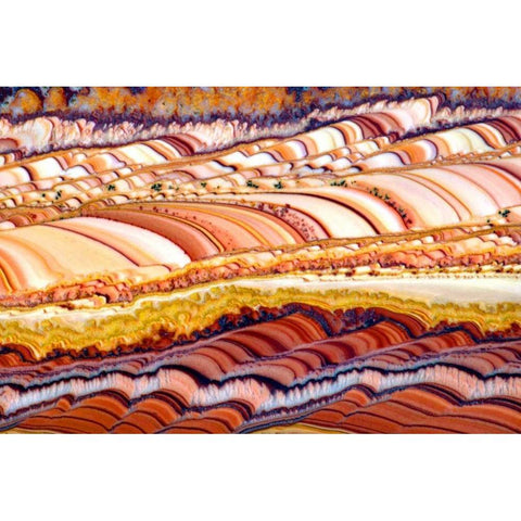 Dolomite Fields Gold Ornate Wood Framed Art Print with Double Matting by Taylor, Douglas