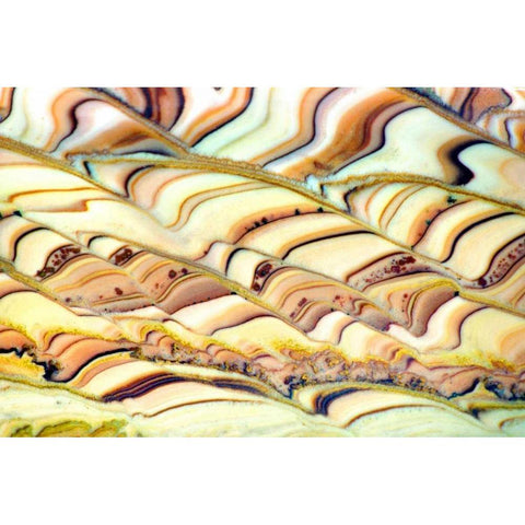 Quartzite Pastorale Gold Ornate Wood Framed Art Print with Double Matting by Taylor, Douglas