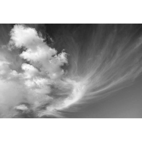 Clouds over Kitt Peak BW I Black Modern Wood Framed Art Print with Double Matting by Taylor, Douglas