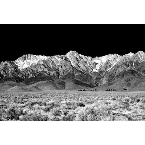 Owens Valley BW White Modern Wood Framed Art Print by Taylor, Douglas