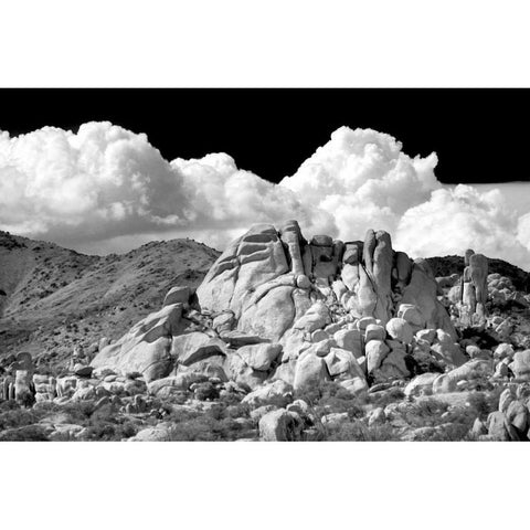 Texas Canyon Rocks BW Gold Ornate Wood Framed Art Print with Double Matting by Taylor, Douglas