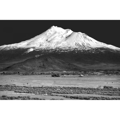 Shasta County Spring BW White Modern Wood Framed Art Print by Taylor, Douglas