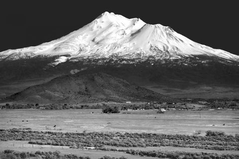 Shasta County Spring BW Black Ornate Wood Framed Art Print with Double Matting by Taylor, Douglas