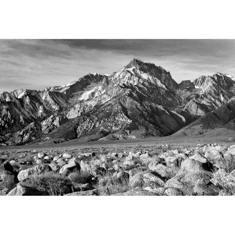 Mt. Williamson II BW Black Modern Wood Framed Art Print with Double Matting by Taylor, Douglas