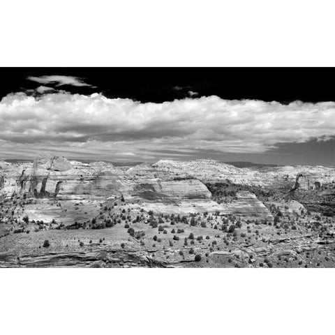 Slick Rock County BW Gold Ornate Wood Framed Art Print with Double Matting by Taylor, Douglas