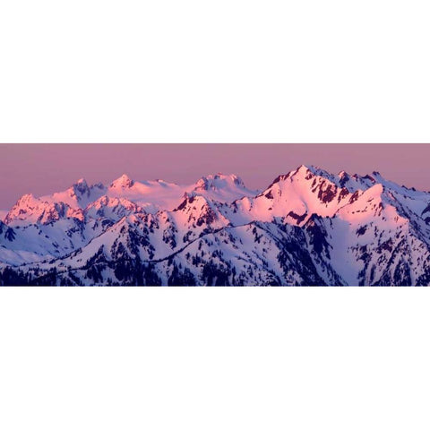 Alpenglow on Mt. Olympus White Modern Wood Framed Art Print by Taylor, Douglas