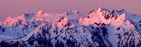 Alpenglow on Mt. Olympus White Modern Wood Framed Art Print with Double Matting by Taylor, Douglas