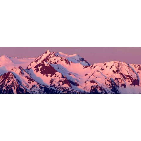 Alpenglow on Olympic Mountains Black Modern Wood Framed Art Print with Double Matting by Taylor, Douglas