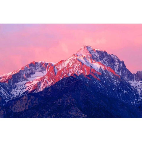 Mt. Williamson Sunrise White Modern Wood Framed Art Print by Taylor, Douglas