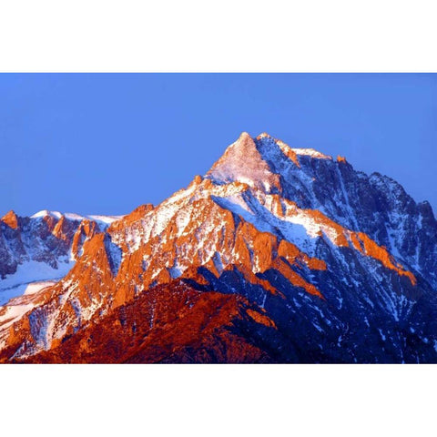 Dawns Early Light III Gold Ornate Wood Framed Art Print with Double Matting by Taylor, Douglas