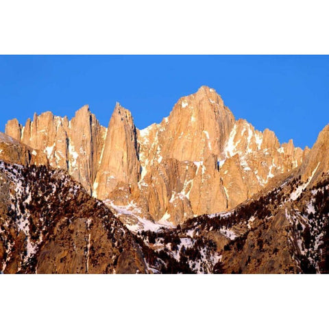 Mt. Whitney Morning Light Gold Ornate Wood Framed Art Print with Double Matting by Taylor, Douglas