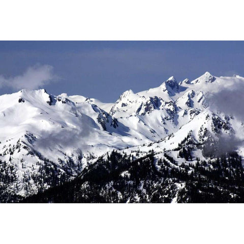 Snowy Olympic Mountains Gold Ornate Wood Framed Art Print with Double Matting by Taylor, Douglas