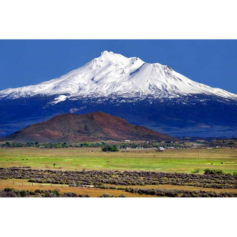 Shasta County Spring Gold Ornate Wood Framed Art Print with Double Matting by Taylor, Douglas