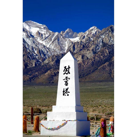 Manzanar Remembrance I Black Modern Wood Framed Art Print with Double Matting by Taylor, Douglas