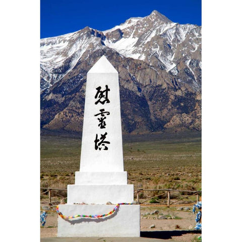 Manzanar Remembrance II Black Modern Wood Framed Art Print with Double Matting by Taylor, Douglas