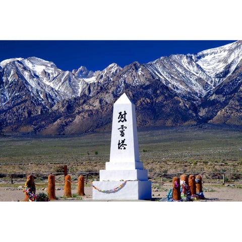 Manzanar Remembrance III Black Modern Wood Framed Art Print by Taylor, Douglas