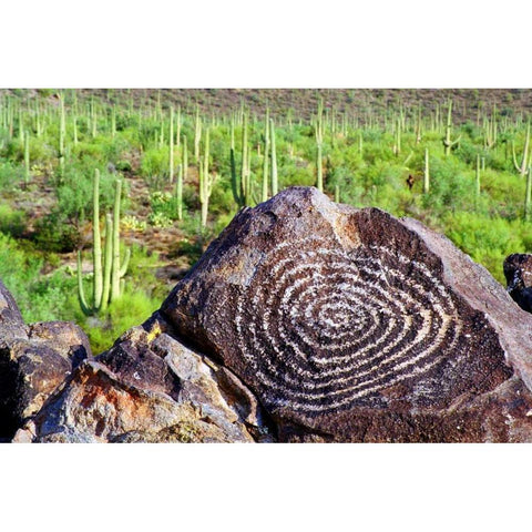 Hohokam Petroglyph Gold Ornate Wood Framed Art Print with Double Matting by Taylor, Douglas