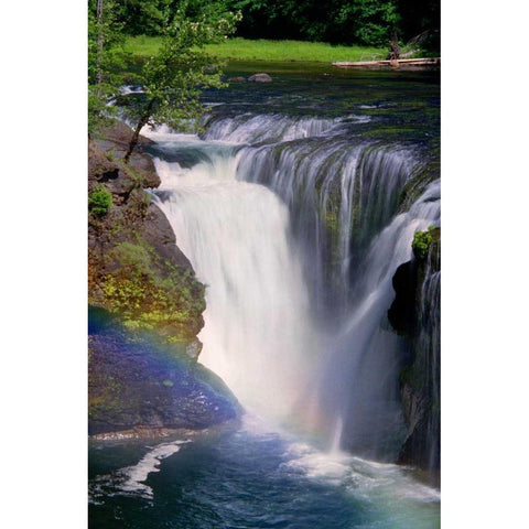 Lewis River Falls Gold Ornate Wood Framed Art Print with Double Matting by Taylor, Douglas