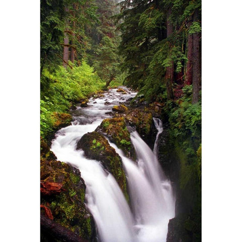 Sol Duc River Falls White Modern Wood Framed Art Print by Taylor, Douglas