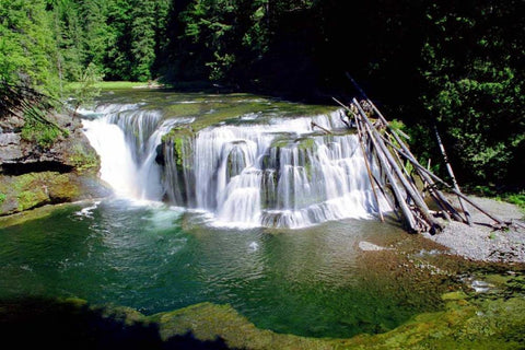 Lewis River Lower Falls Black Ornate Wood Framed Art Print with Double Matting by Taylor, Douglas