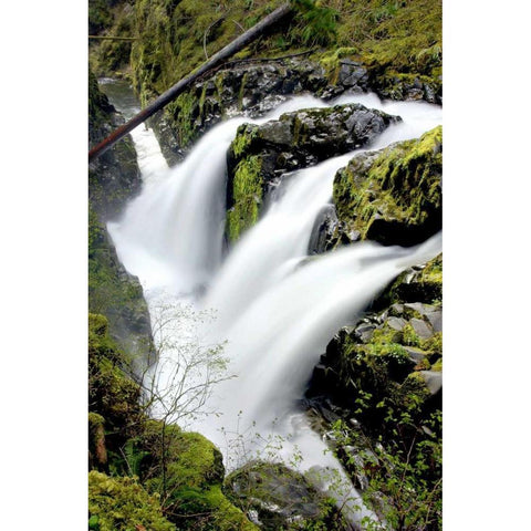 Sol Duc Falls I White Modern Wood Framed Art Print by Taylor, Douglas