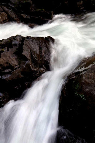 Sol Duc Falls II Black Ornate Wood Framed Art Print with Double Matting by Taylor, Douglas