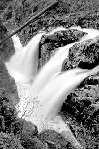 Sol Duc Falls I BW White Modern Wood Framed Art Print with Double Matting by Taylor, Douglas