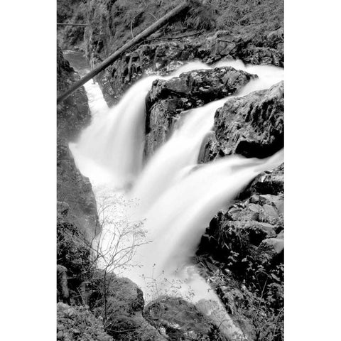 Sol Duc Falls I BW Gold Ornate Wood Framed Art Print with Double Matting by Taylor, Douglas