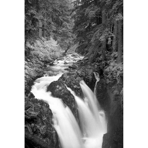 Sol Duc River Falls BW Black Modern Wood Framed Art Print with Double Matting by Taylor, Douglas