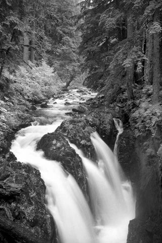 Sol Duc River Falls BW Black Ornate Wood Framed Art Print with Double Matting by Taylor, Douglas