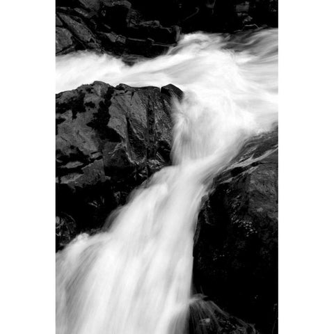 Sol Duc River II BW Gold Ornate Wood Framed Art Print with Double Matting by Taylor, Douglas