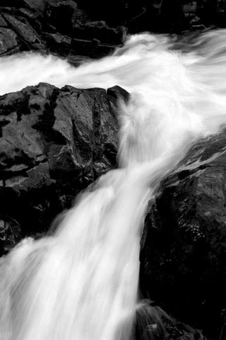 Sol Duc River II BW Black Ornate Wood Framed Art Print with Double Matting by Taylor, Douglas