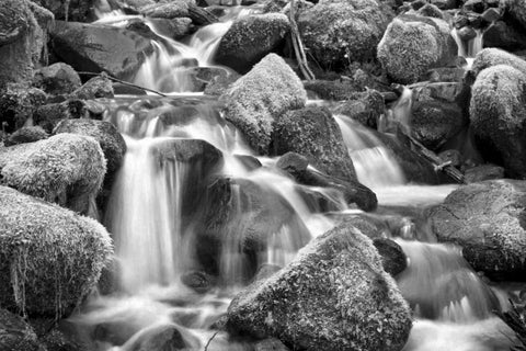 Trailside Stream BW White Modern Wood Framed Art Print with Double Matting by Taylor, Douglas