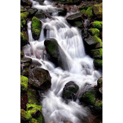 Trailside Waterfall I White Modern Wood Framed Art Print by Taylor, Douglas