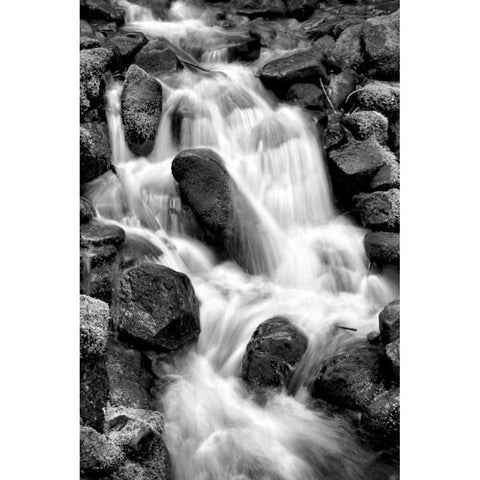 Trailside Waterfall I BW White Modern Wood Framed Art Print by Taylor, Douglas