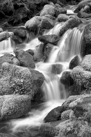 Trailside Waterfall II BW White Modern Wood Framed Art Print with Double Matting by Taylor, Douglas