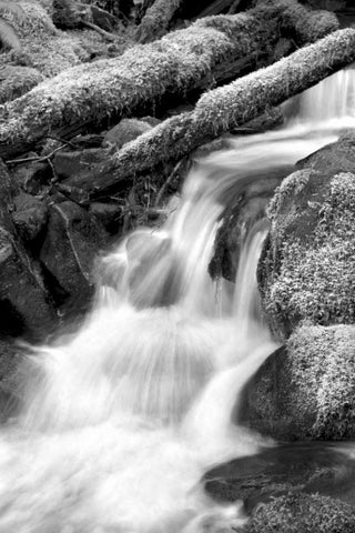 Trailside Waterfall III BW White Modern Wood Framed Art Print with Double Matting by Taylor, Douglas