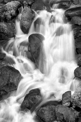 Trailside Waterfall IV BW White Modern Wood Framed Art Print with Double Matting by Taylor, Douglas